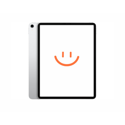 APPLE iPad Pro 12.9-inch 3rd Gen Wi-fi+cellular 25