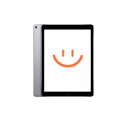 APPLE iPad Pro 12.9-inch 2nd Gen Wi-fi+cellular 25