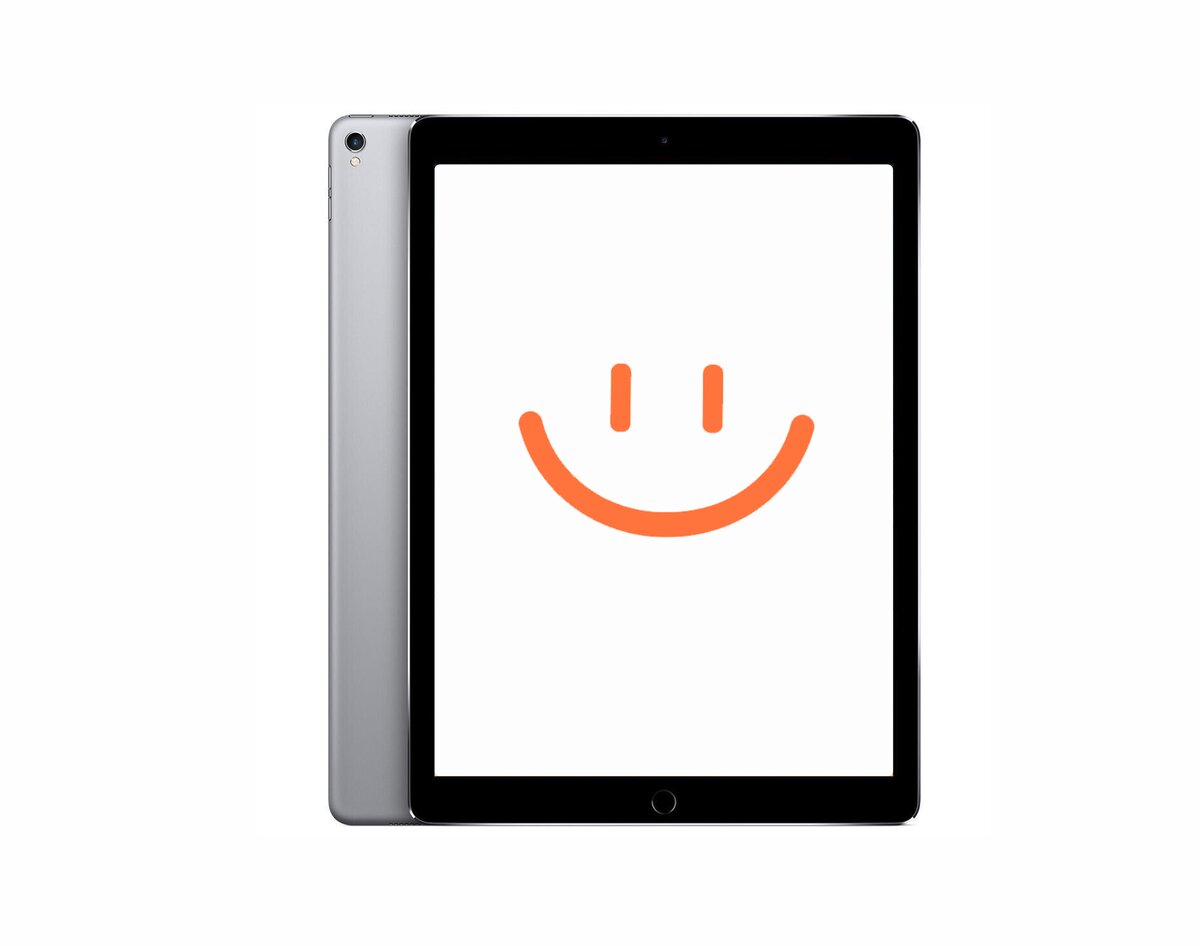 APPLE APPLE Ipad Pro 12.9-inch 2nd Gen Wi-fi+cellular 256 Gb Space Gray Pro 12.9-inch 2nd Gen Wi-fi+cellular 256 Gb Space Gray