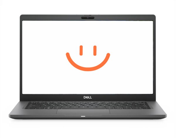 DELL Latitude 7310